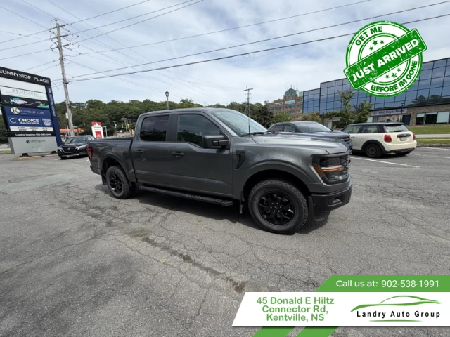 Ford F-150 STX 2024
