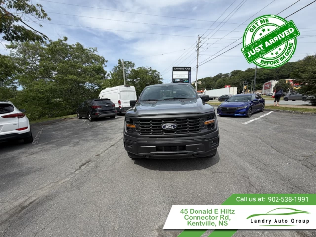 Ford F-150 STX 2024