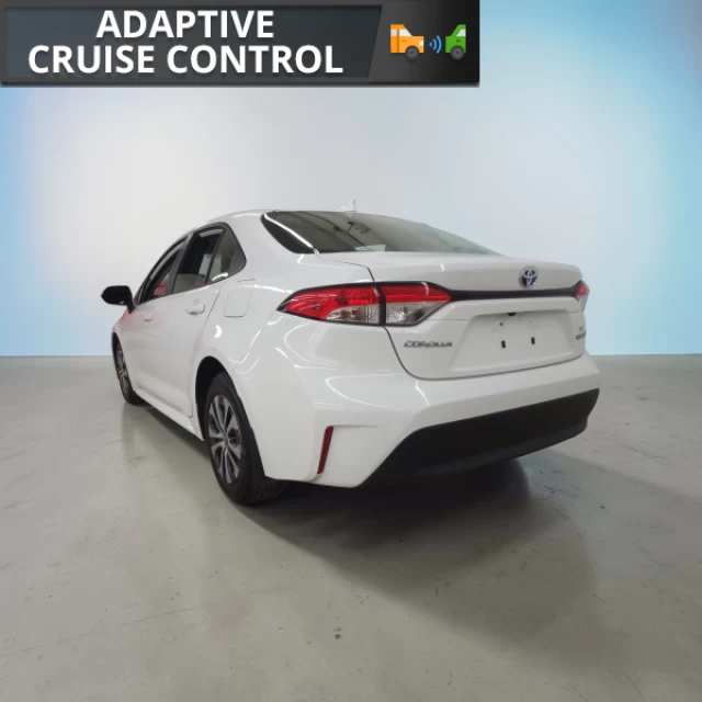 Toyota Corolla Hybrid LE 2024