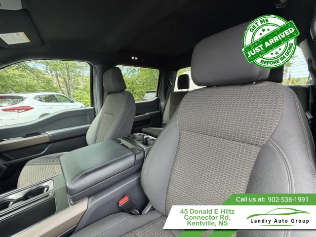 Ford F-150 STX 2024