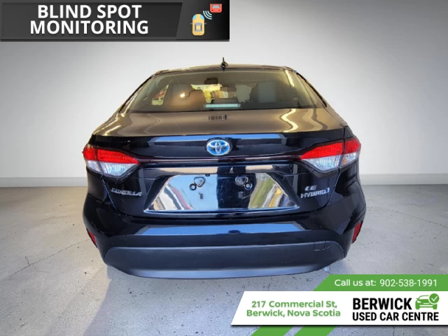Toyota Corolla Hybrid LE 2024