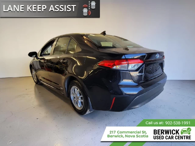 Toyota Corolla Hybrid LE 2024