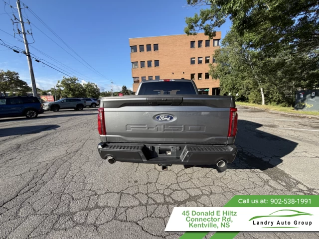 Ford F-150 STX 2024