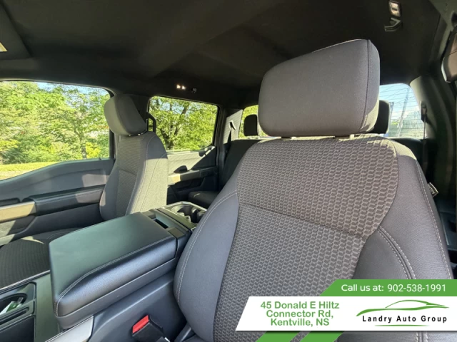 Ford F-150 STX 2024