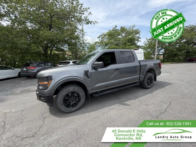 Ford F-150 STX 2024