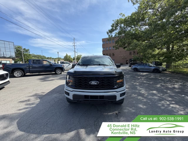 Ford F-150 STX 2024
