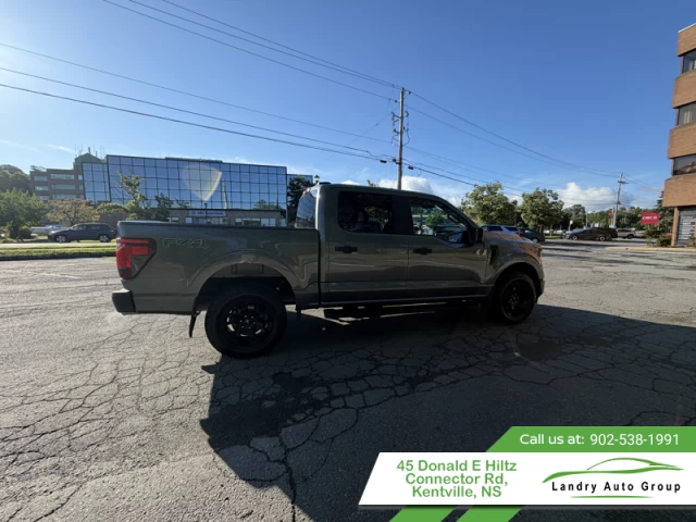 Ford F-150 STX 2024
