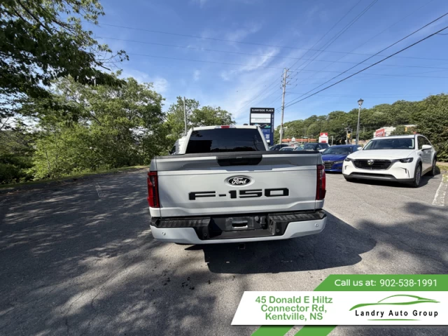Ford F-150 STX 2024
