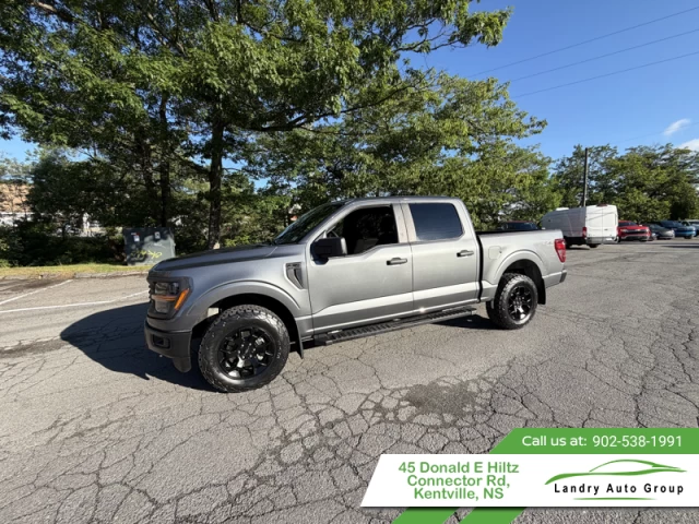 Ford F-150 STX 2024