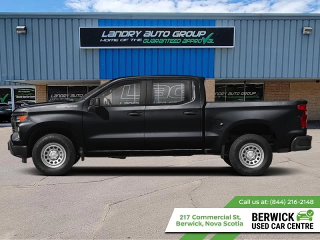 Chevrolet Silverado 1500 Custom Trail Boss 2023