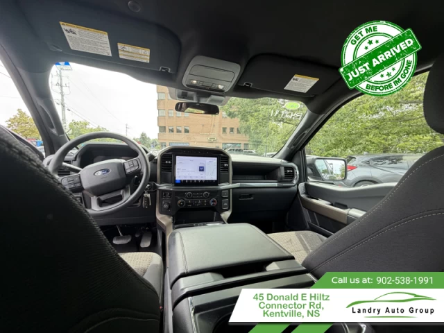 Ford F-150 STX 2024