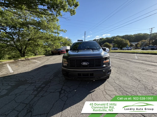 Ford F-150 STX 2024