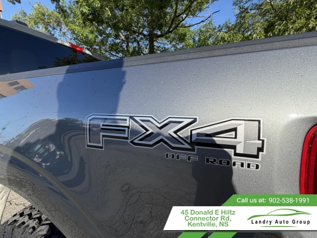 Ford F-150 STX 2024