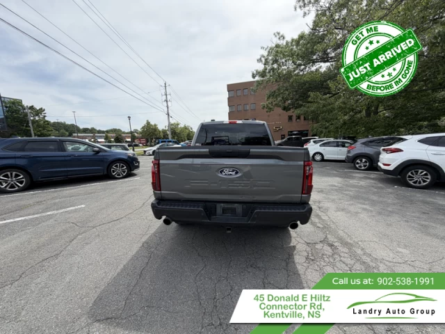 Ford F-150 STX 2024